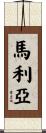 馬利亞 Scroll