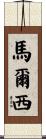 Marci Scroll