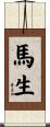馬生 Scroll