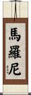 Maroney Scroll