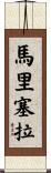 Maricela Scroll