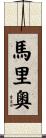 Malio Scroll