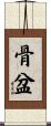 骨盆 Scroll
