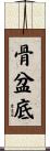 骨盆底 Scroll