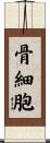 骨細胞 Scroll