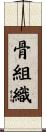 骨組織 Scroll