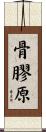 骨膠原 Scroll