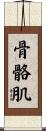 骨骼肌 Scroll