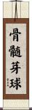 骨髄芽球 Scroll