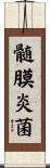 髄膜炎菌 Scroll
