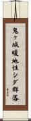 鬼ヶ城暖地性シダ群落 Scroll