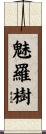 魅羅樹 Scroll