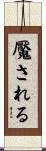 魘される Scroll