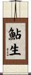 鮎生 Scroll