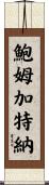 Baumgartner Scroll