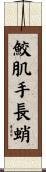鮫肌手長蛸 Scroll
