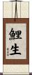 鯉生 Scroll