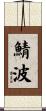 鯖波 Scroll