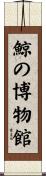 鯨の博物館 Scroll