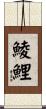 鯪鯉 Scroll