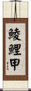 鯪鯉甲 Scroll