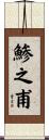 鯵之甫 Scroll