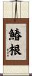 鰆根 Scroll