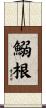 鰯根 Scroll