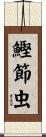 鰹節虫 Scroll