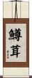 鱒茸 Scroll