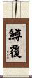 鱒覆 Scroll