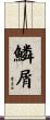 鱗屑 Scroll