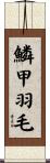鱗甲羽毛 Scroll