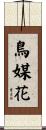 鳥媒花 Scroll