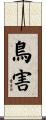鳥害 Scroll