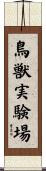 鳥獣実験場 Scroll