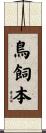 鳥飼本 Scroll