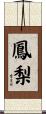 鳳梨 Scroll
