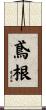 鳶根 Scroll