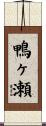 鴨ヶ瀬 Scroll