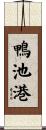 鴨池港 Scroll