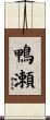 鴨瀬 Scroll