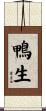 鴨生 Scroll