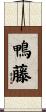 鴨藤 Scroll