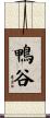 鴨谷 Scroll