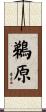 鵜原 Scroll