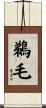 鵜毛 Scroll