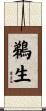 鵜生 Scroll