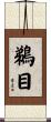 鵜目 Scroll