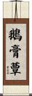 鵝膏蕈 Scroll